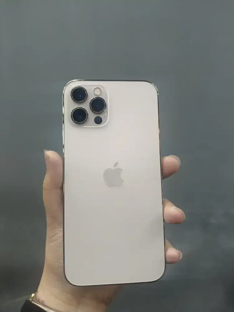 Promo Cicilan iPhone 12Pro