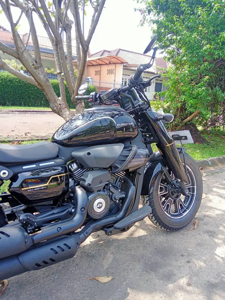 QJ MOTOR LIBERO SRV250 THN2025