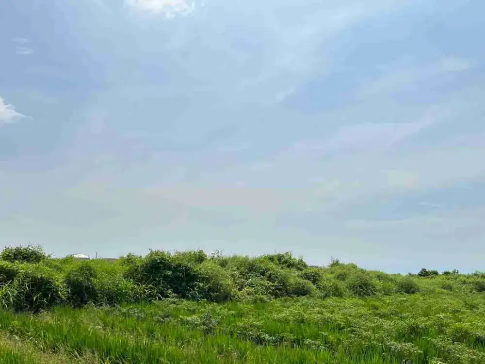 BREBES PASARBATANG TANAH STRATEGIS DEKAT KANTOR PEMERINTAHAN TERPADU (KPT) BREBES JUAL MURAH