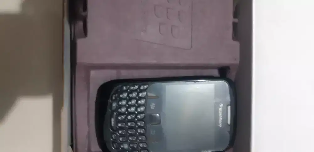 Hape black berry gemini