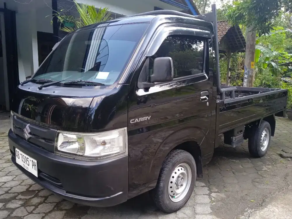 Carry Pick Up Th 2019