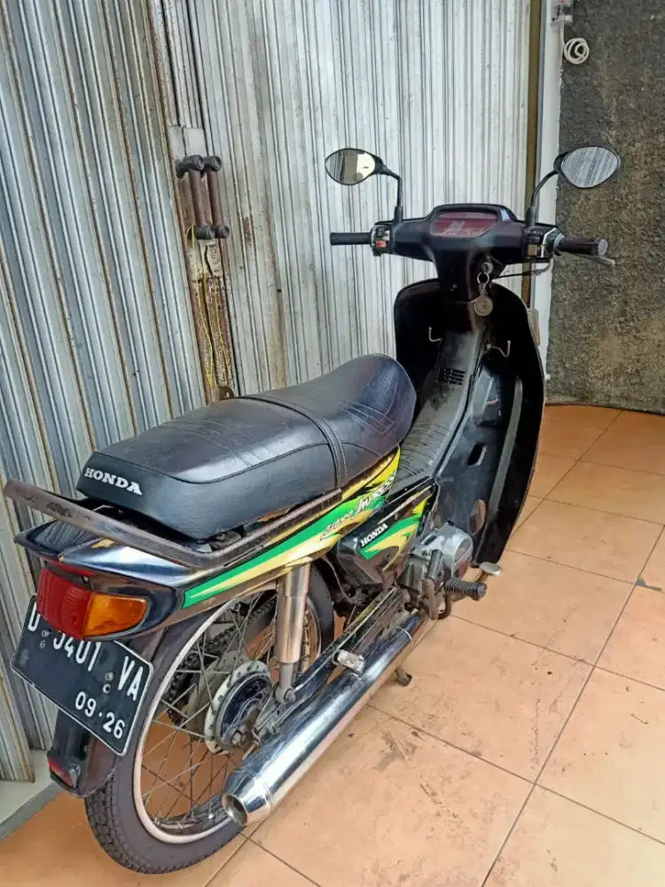 Astrea impressa 110