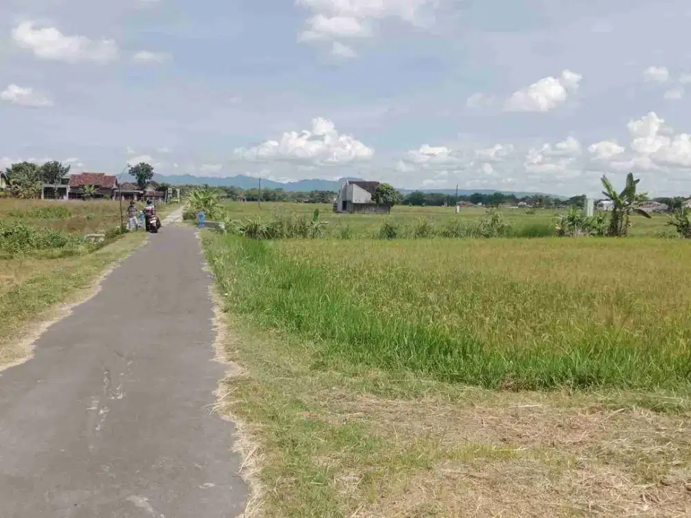 Sawah murah 1.300m ² dua akses jalan, jalan utama DPU, kenokorejo polokarto Sukoharjo