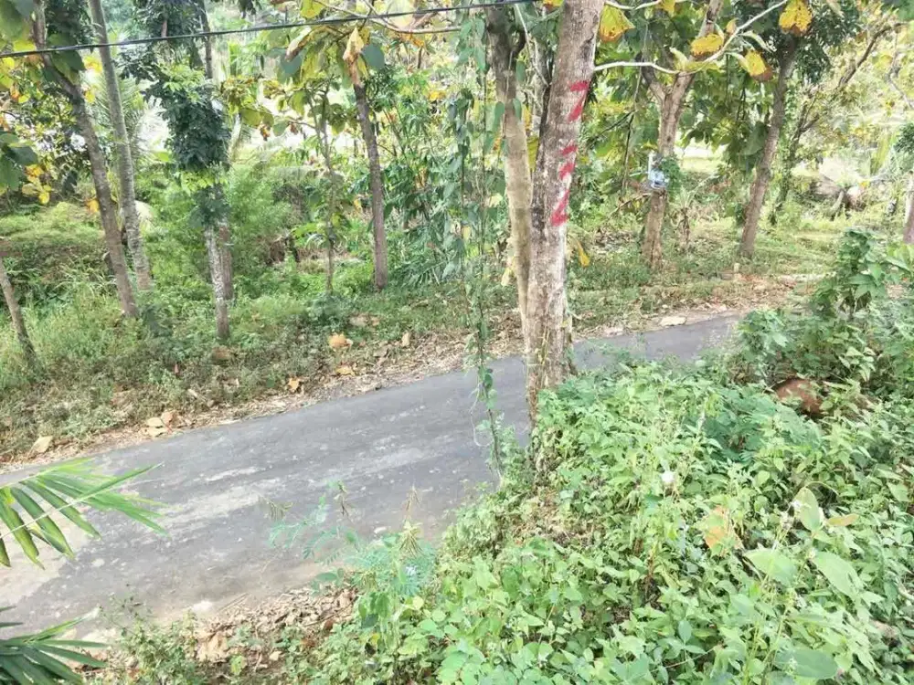 Jual tanah lokasi strategis