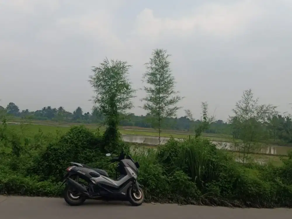 Jual Tanah 8 Hektar Desa Kopo ,Maja Serang banten