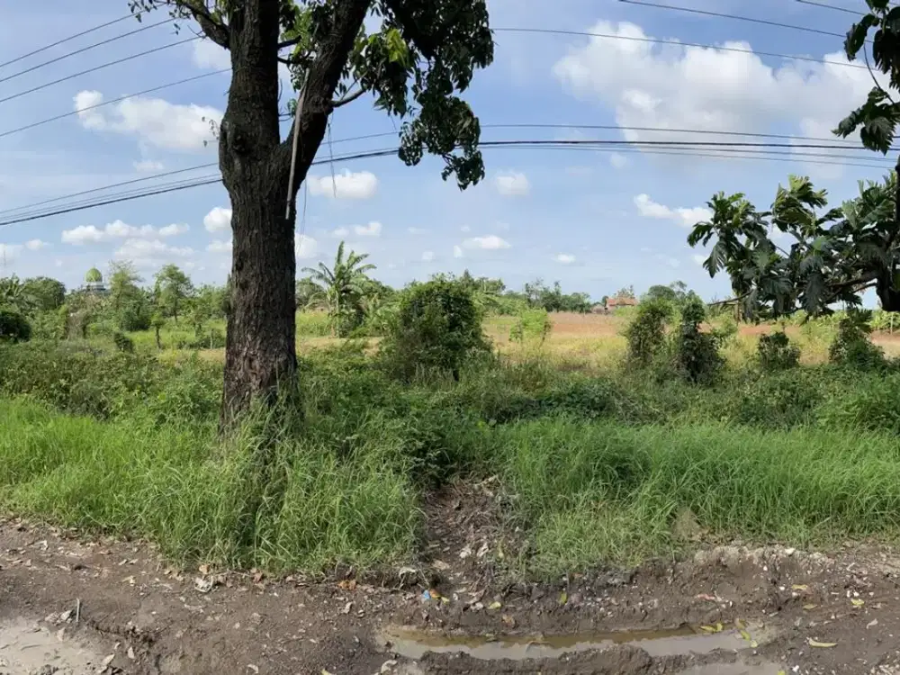 Dijual Tanah Luas 1,5 Ha Lokasi Pelabuhan Kendal