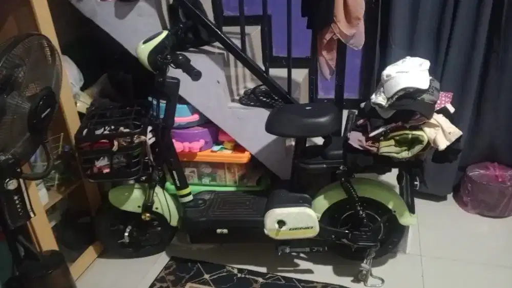 Selis orby genio mulus