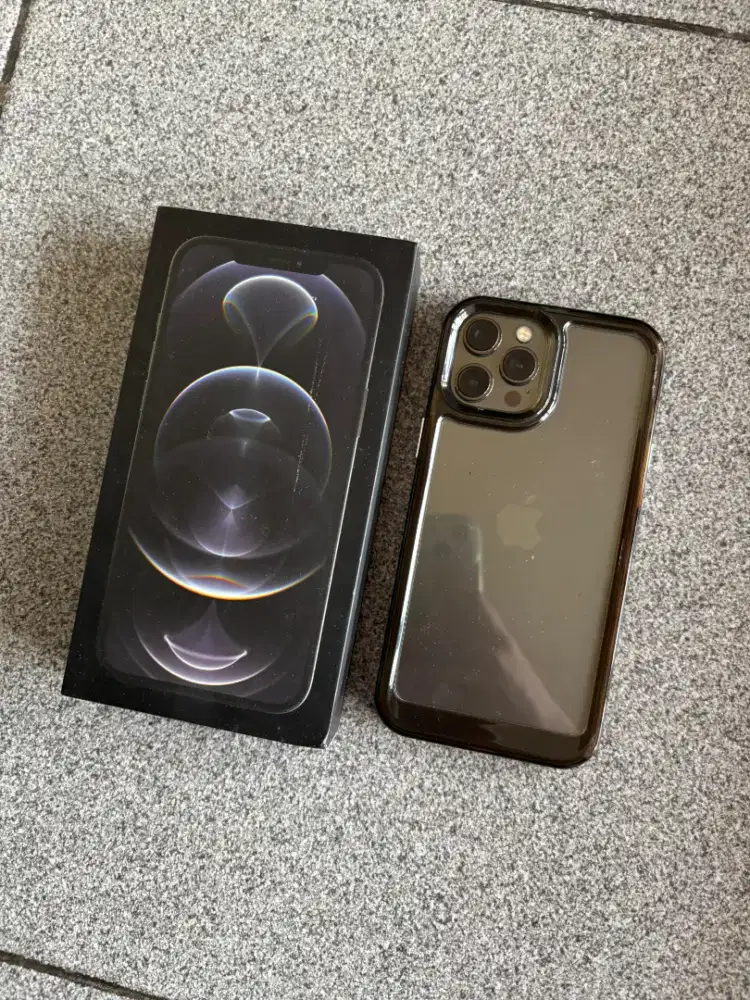 iPhone 12 promax 256