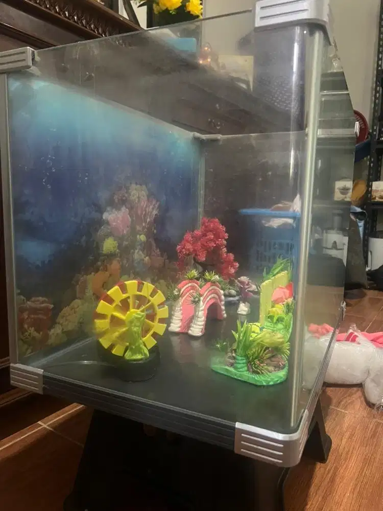 Aquarium Akrilik Kaca Tebal sudut melengkung
