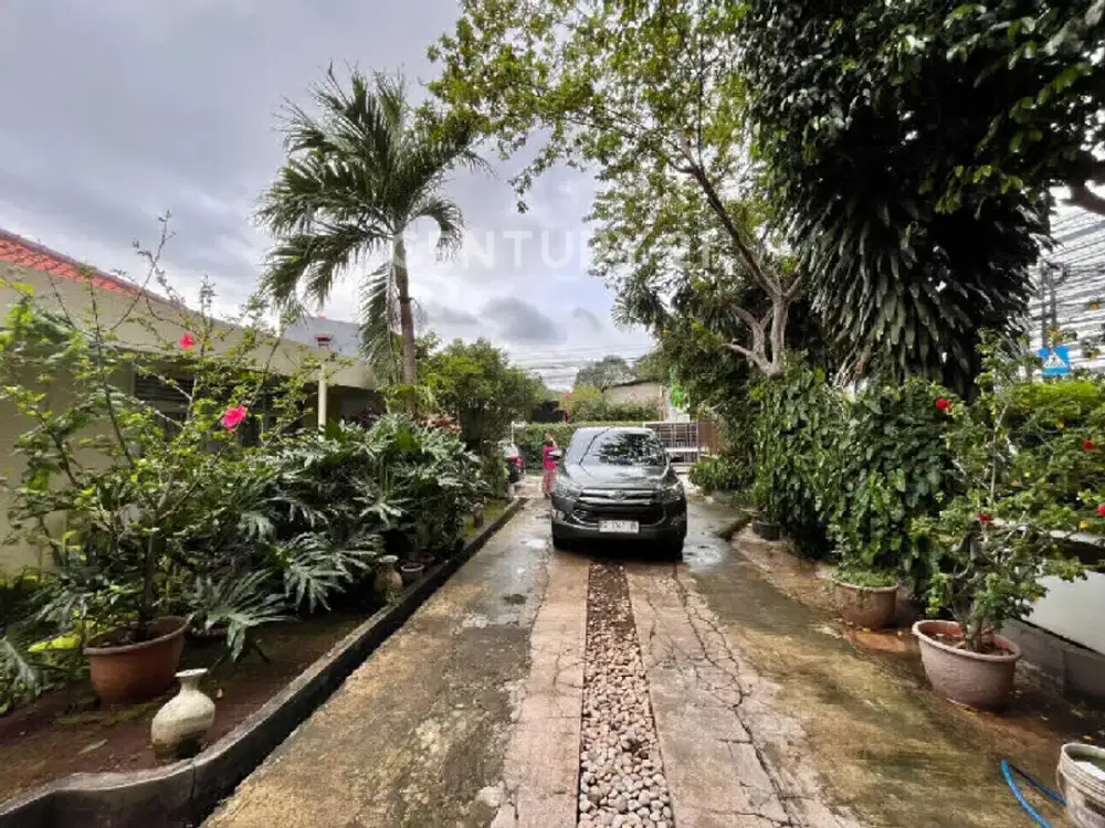 Dijual Rumah Classic Dgn Halaman Luas Utk Town House