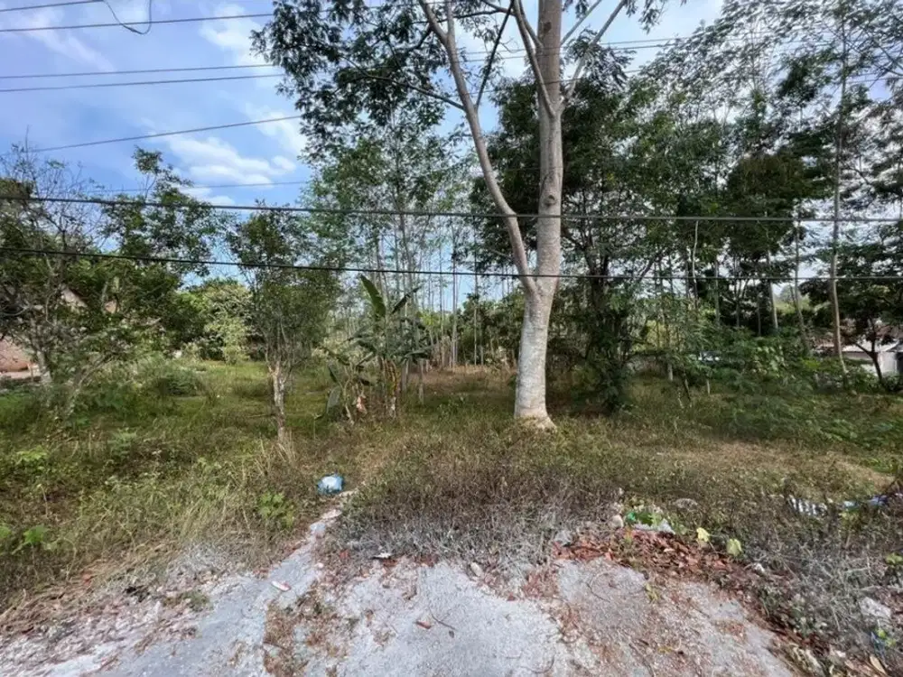 Dijual Tanah dengan Luas 8000 m2 Lokasi Patemon Gunungpati Semarang