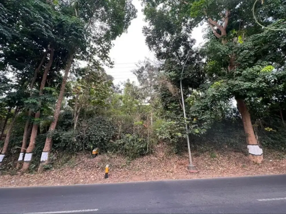 Dijual Tanah Luas 1,2 Ha Lokasi Gunungpati Semarang