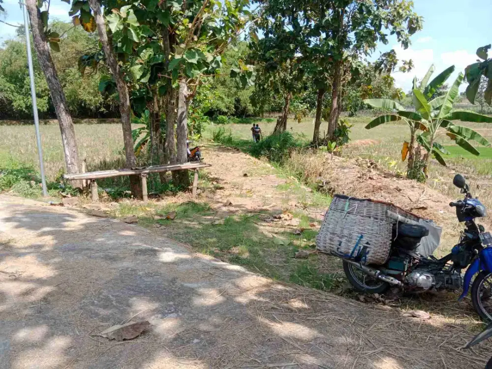 sawah murah luas 1.697m² dekat jalan desa panen 3x di polokarto sukoharjo ; 

* harga 225 jt nego