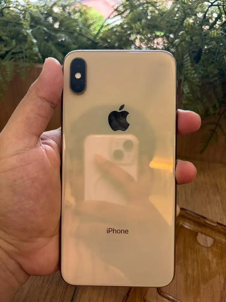 DIJUAL XS MAX 256gb