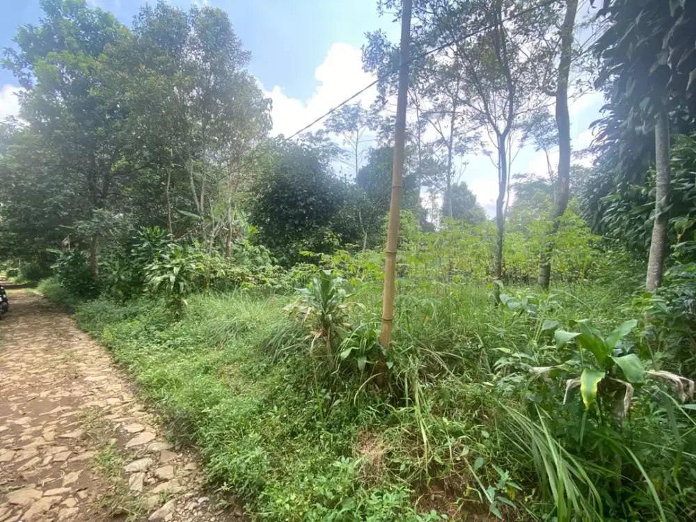 Dijual Murah Tanah Kebun Akses Mobil 1268 m2 Wanayasa Purwakarta