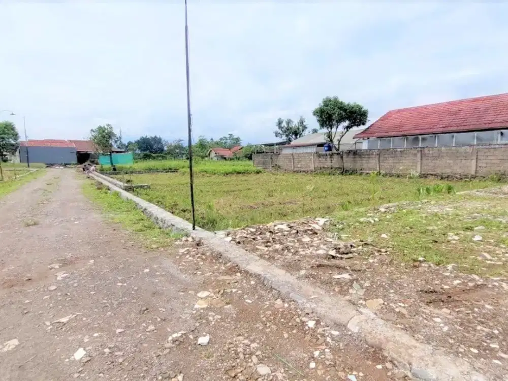 Tanah Dijual Akses Dekat IPB Dramaga Bogor, 200 Jt-an Saja