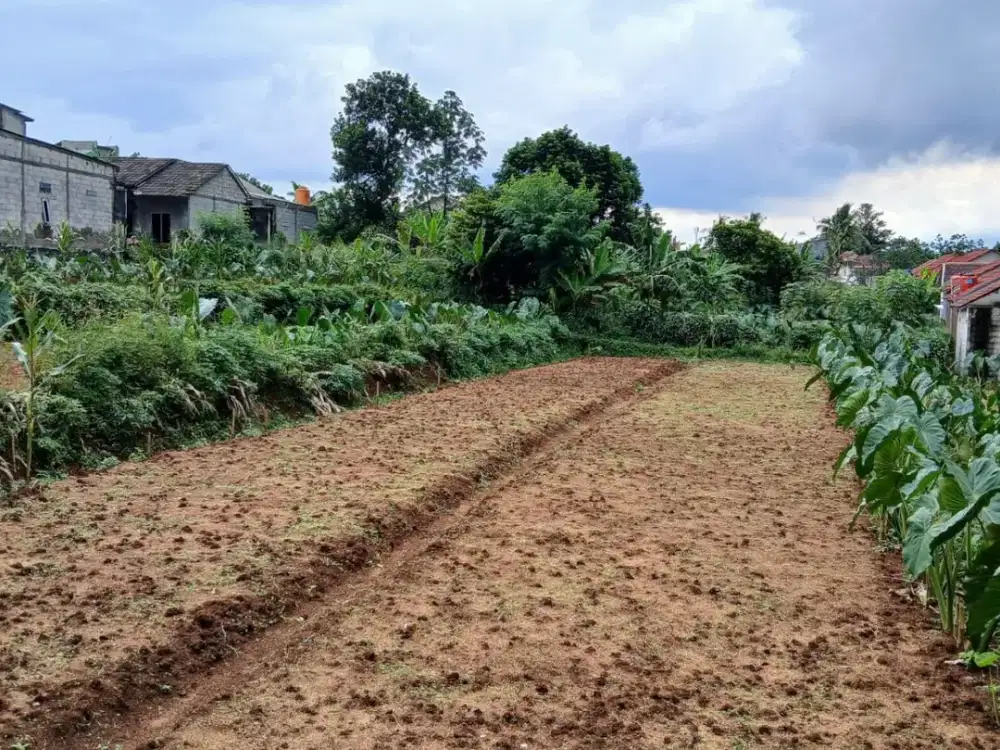 Tanah Kavling strategis 10 Menit Stasiun Cilebut Free SHM