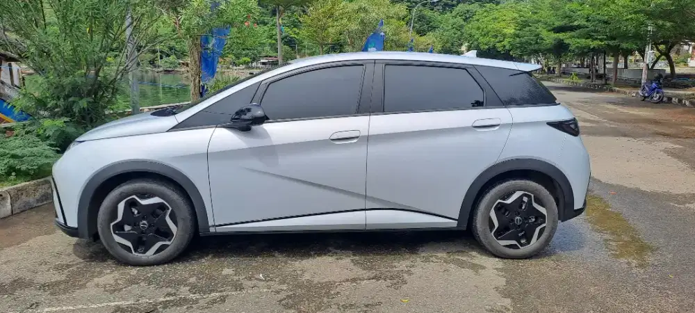 BYD DOLPHINE DYNAMIC 2026