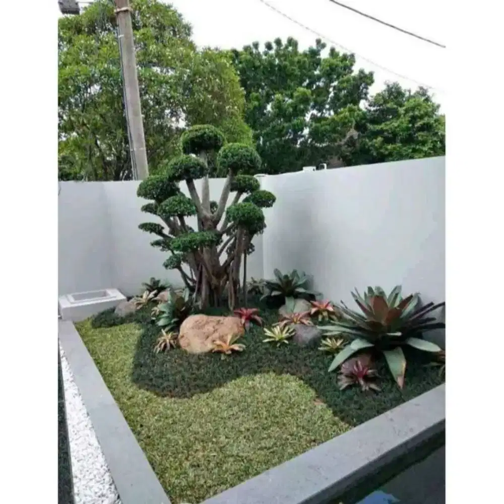 Jasa pembuatan taman bonsai taman indor taman kering minimalis dll #3