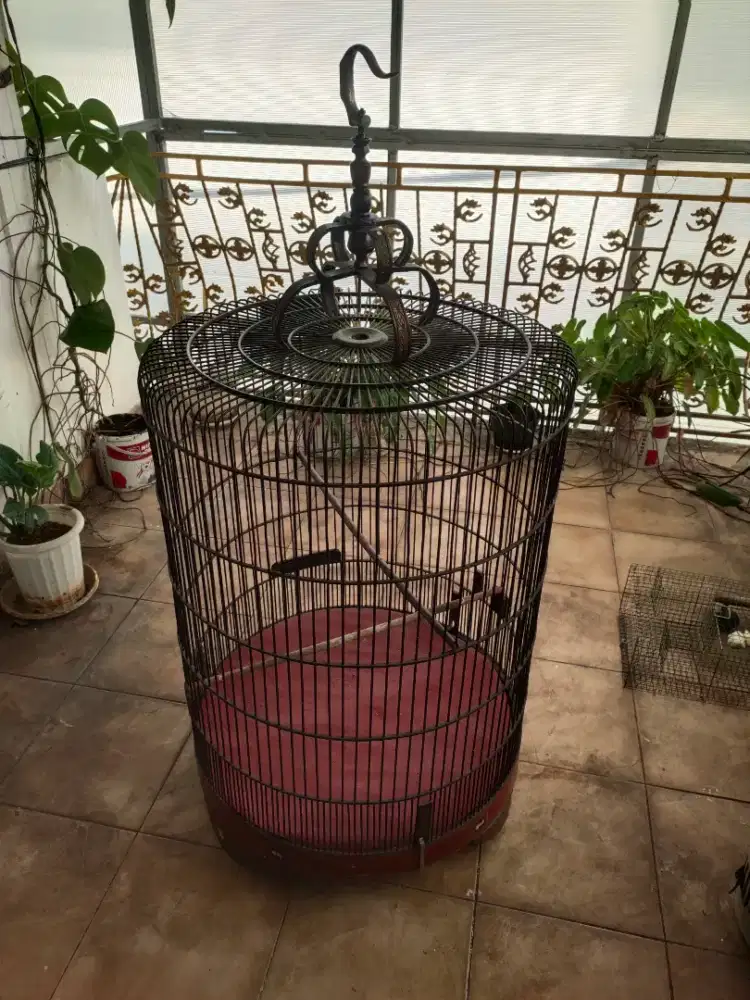 Kandang Sangkar burung Muray batu no 1 kokoh Tangsel