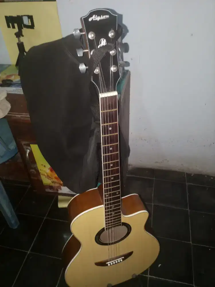 Gitar Mulus Costum