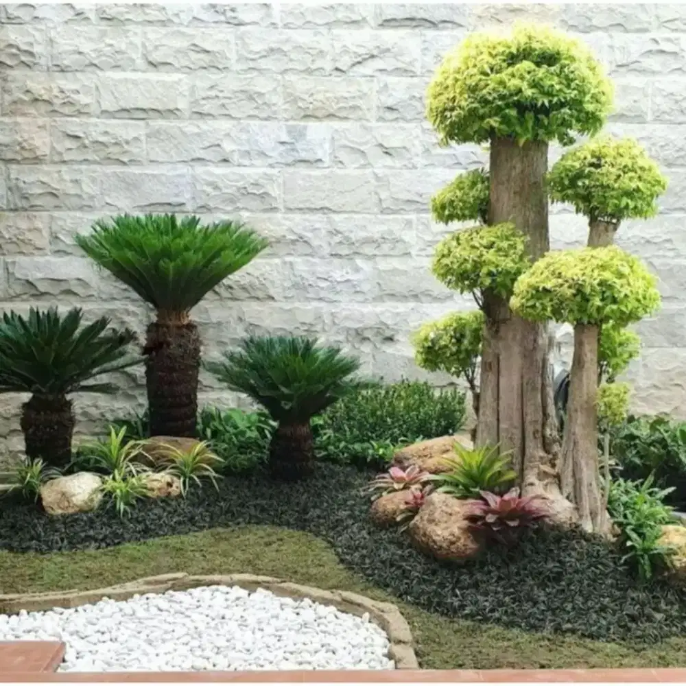 Jasa pembuatan taman jepang taman bonsai taman minimalis kering dll #7
