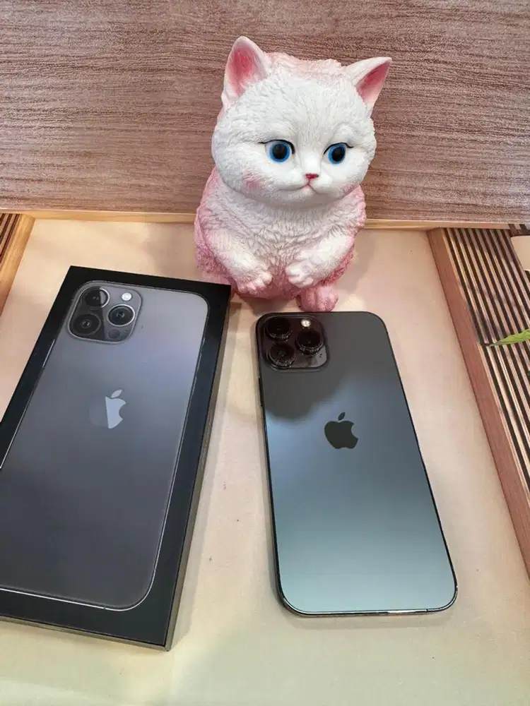 iPhone 13 Pro Max 256GB Ex iBox Graphite BH 75% Lengkap