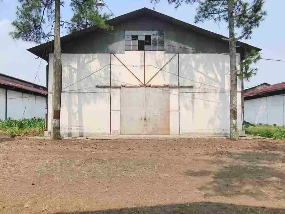 Disewakan Gudang Di Singosari Malang