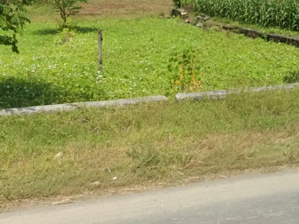 Tanah Raya Balongpangang Gresik