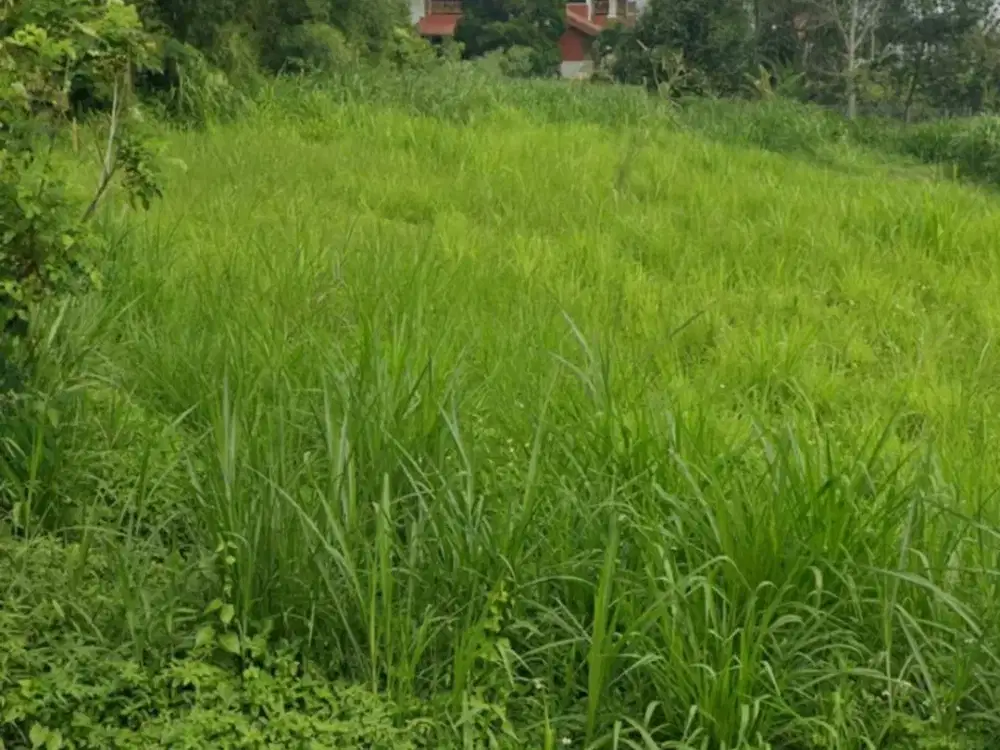 Tanah Trawas Mojokerto