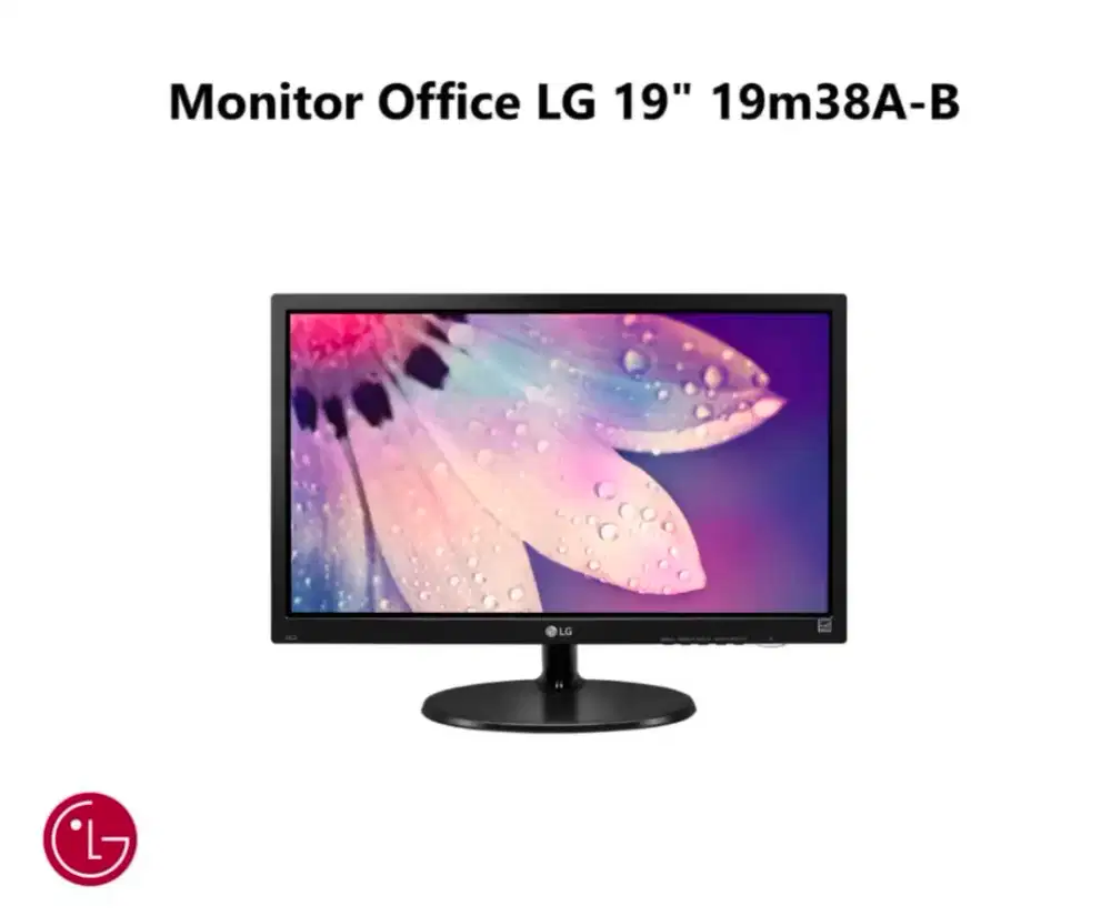 Monitor LED LG 19
