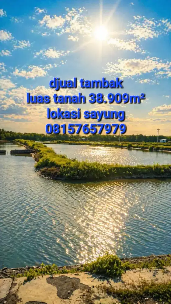 BU CEPAT TAMBAK AKTIV sayung tanjungmas semarang tegal MURAH produktif