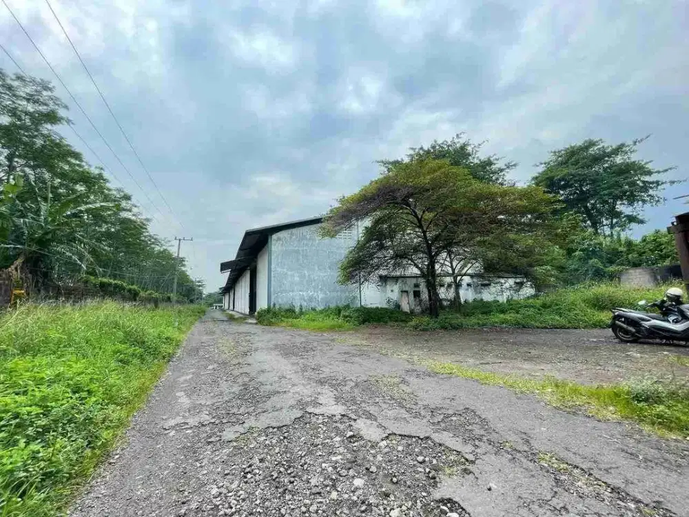 Sewakan gudang ada dua uk beda di Ngoro Mojokerto