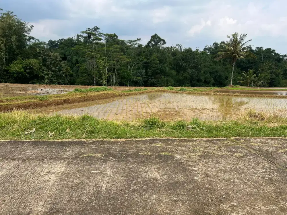 Tanah Subur 2000m² Timur Pasar Mojogedang Karanganyar