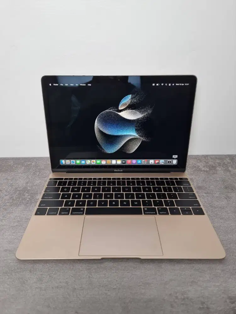 MacBook Retina 2017 intel core M3 RAM 8GB SSD 256GB Bergaransi SBY