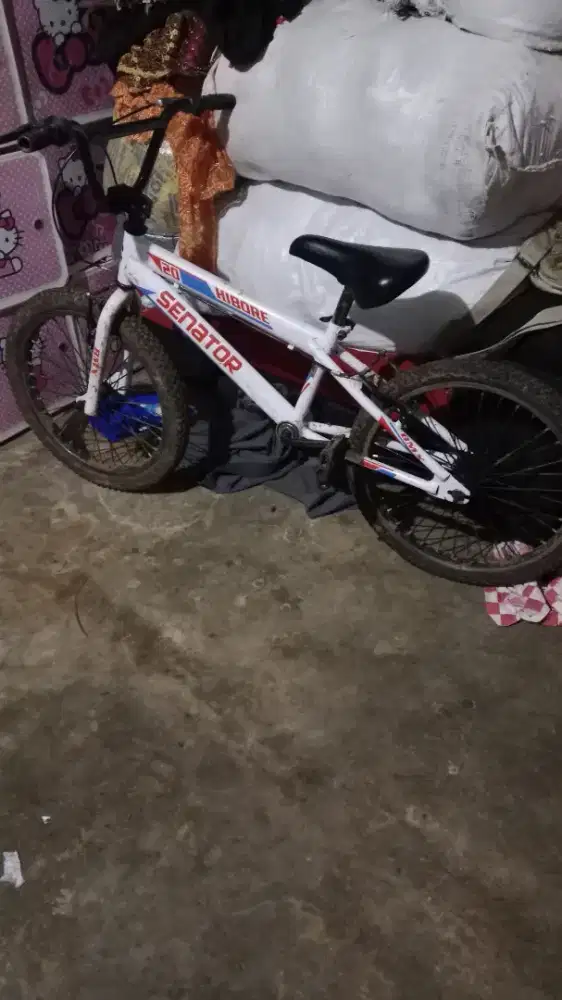 Sepeda senator 20 inci