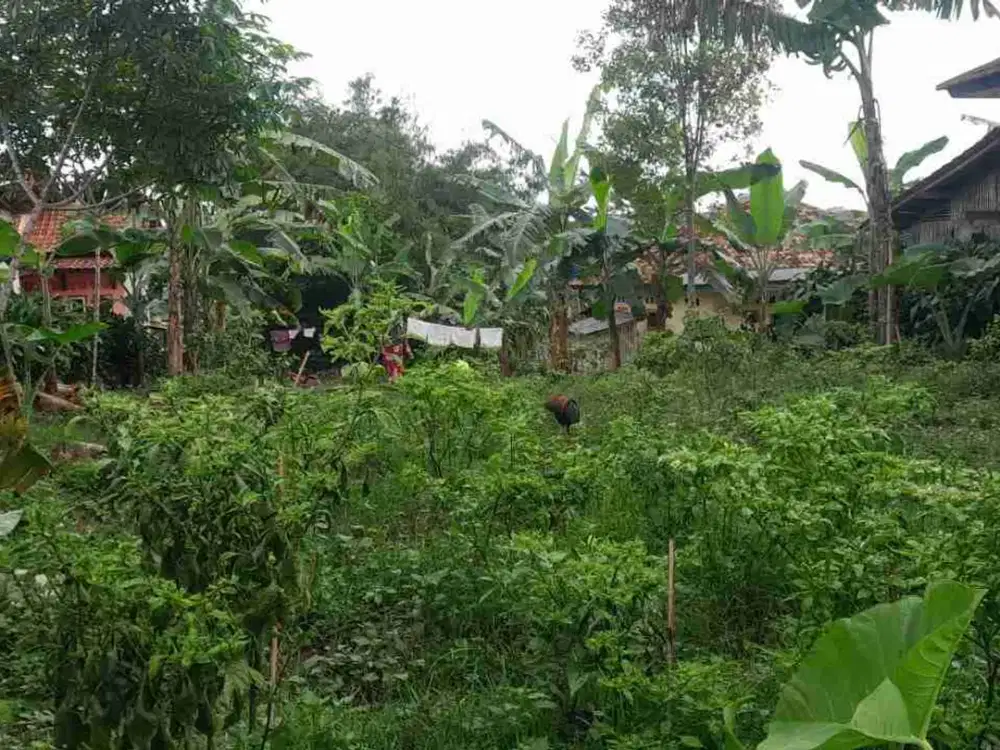 dijual lahan pinggir jalan 376 meter