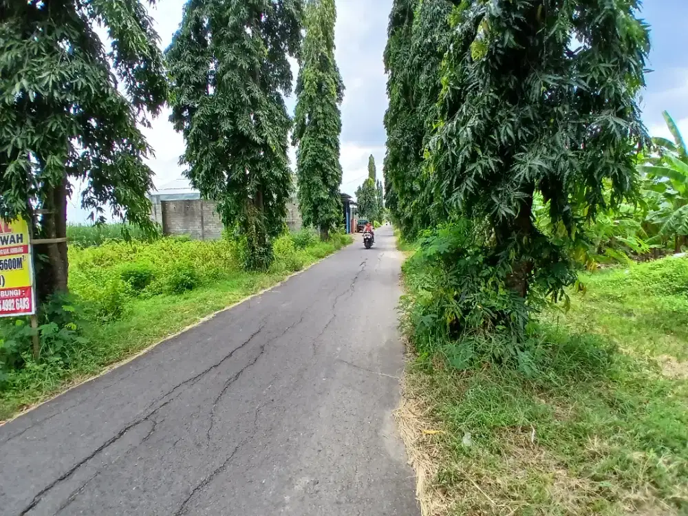 Dijual tanah shm pinggir jalan aspal cocok untuk hunian atau usaha