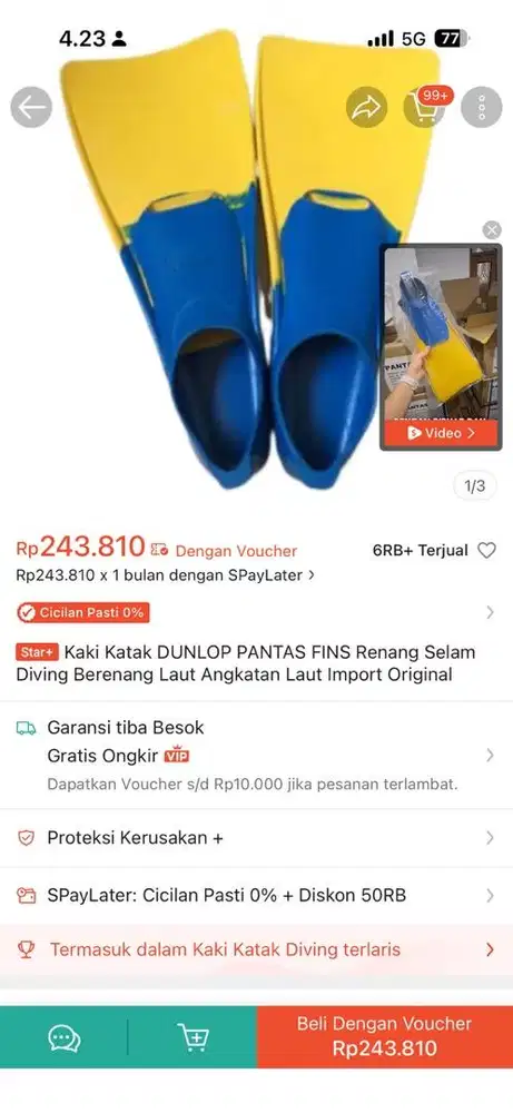 Kaki katak / fins