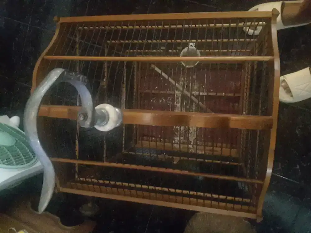 Jual sangkar jati uk.45x45