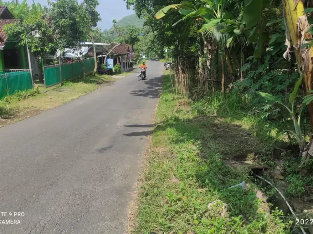 DIJUAL TANAH PEKARANGAN PINGGIR JALAN ASPAL UTARA KOPI INGKAR JANJI GIRIMULYO KULON PROGO.JK4024