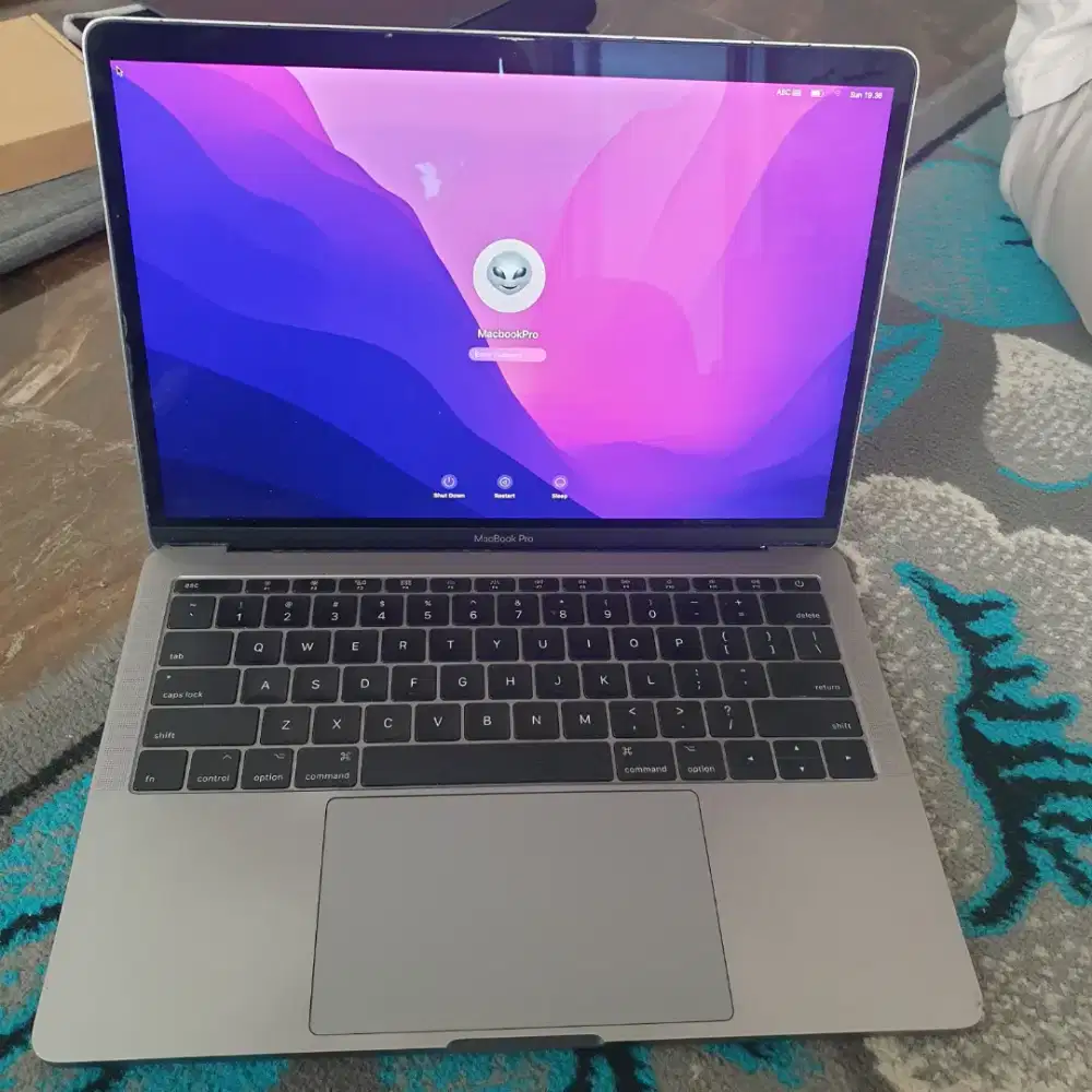 Macbook pro 2017 ram 16gb