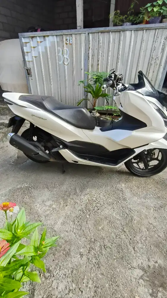 Honda PCX 2022 CBS