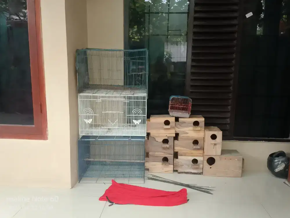 Edisi pensiun di dunia burung