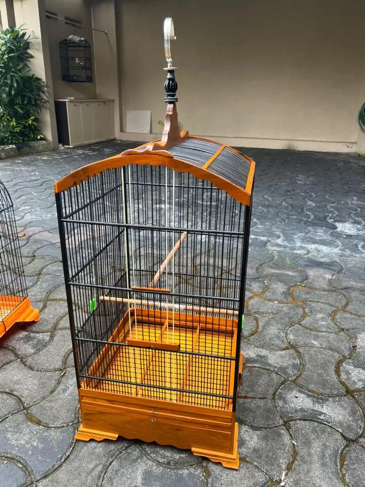 Sangkar burung kosan jati untuk cendet