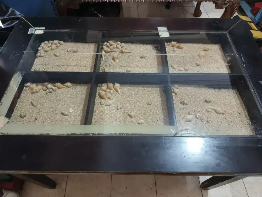 Meja makan  / meja meeting