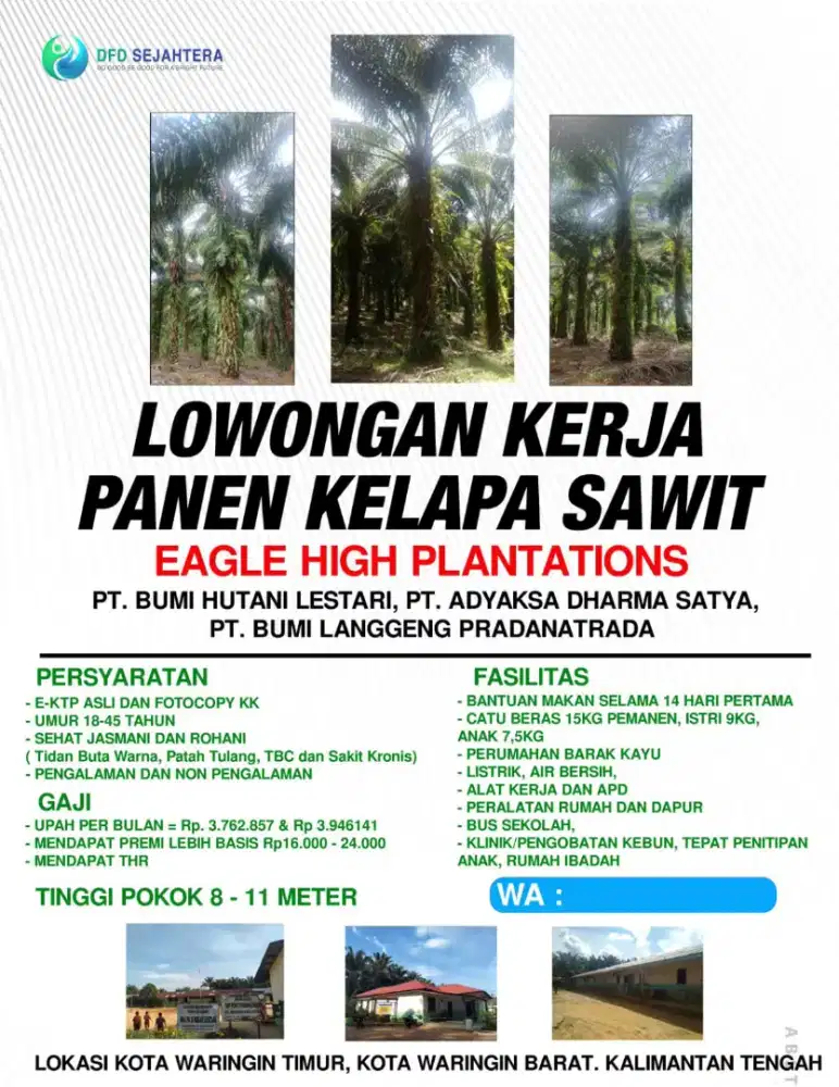 Lowongan pekerjaan sawit