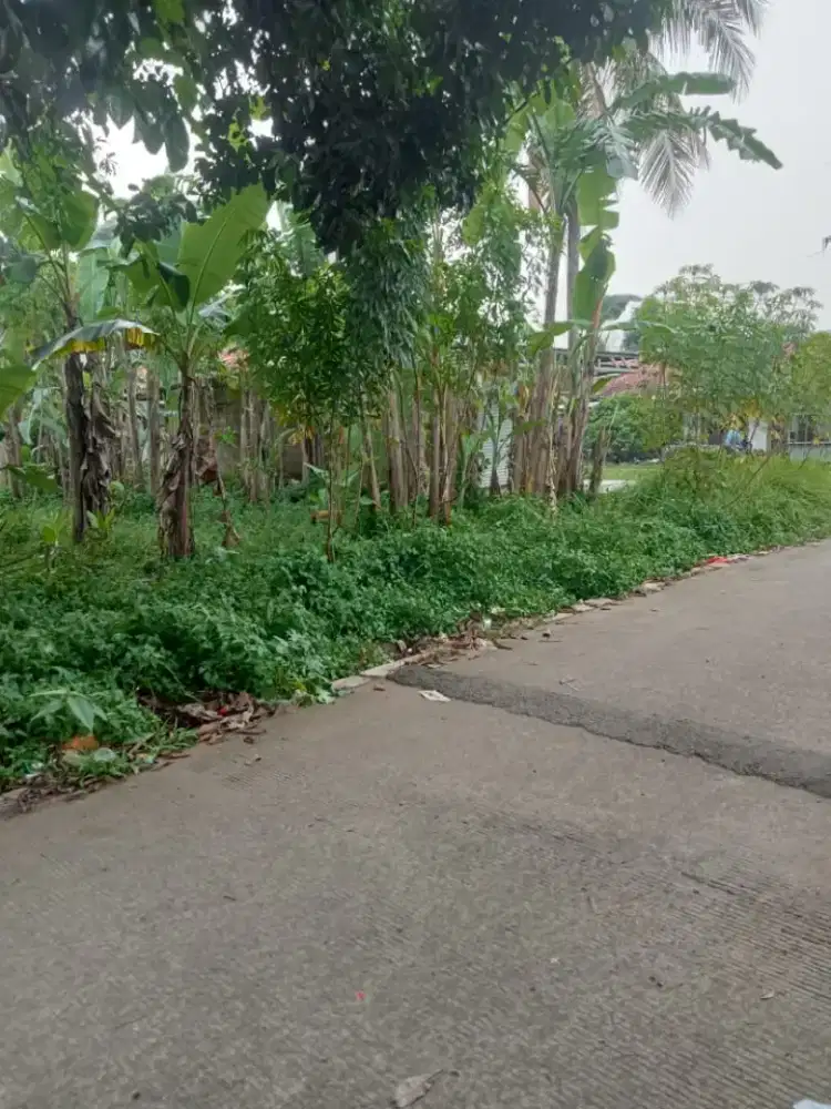 Dijual tanah 150 mtr surat shm