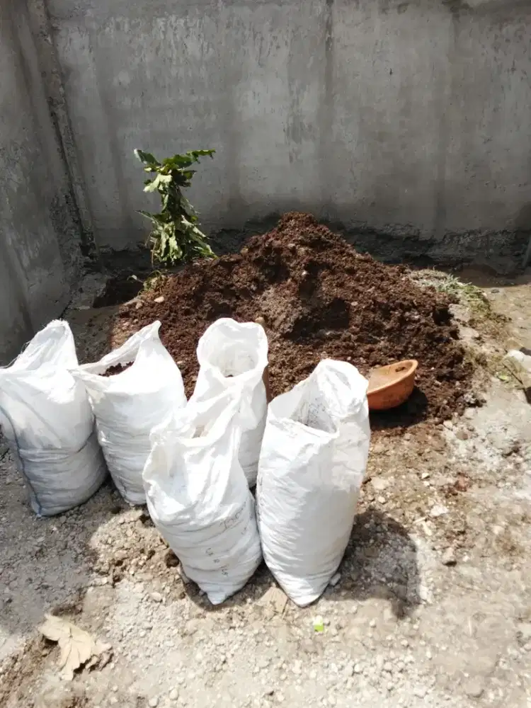 Jasa tukang bangunan