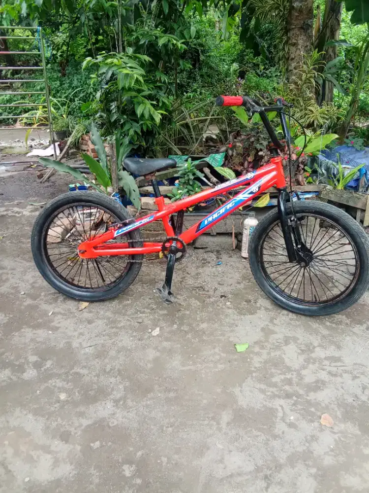 BMX 20 Pasifik siap pakai